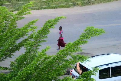 DSC_8253 (Large).JPG